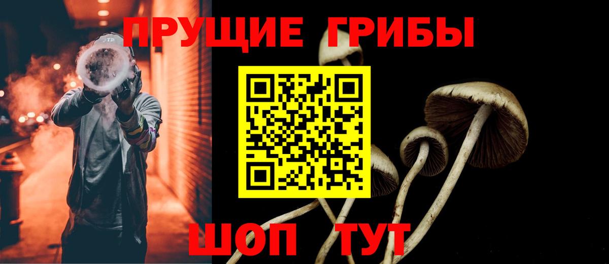 Псилоцибиновые грибы Magic Shrooms Димитровград
